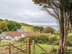 Property grounds - Partridge Cottage, Ilfracombe (Ilfracombe)