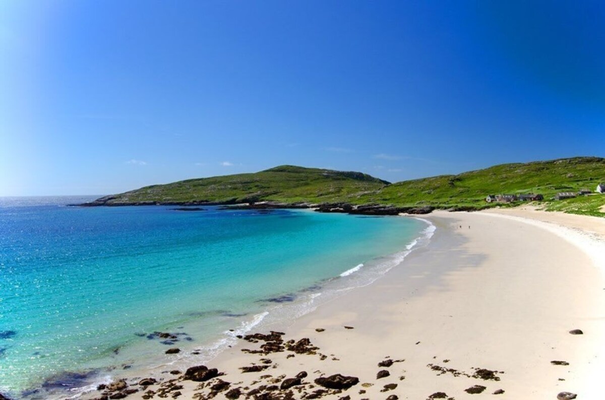 オーナーのプロフィール画像