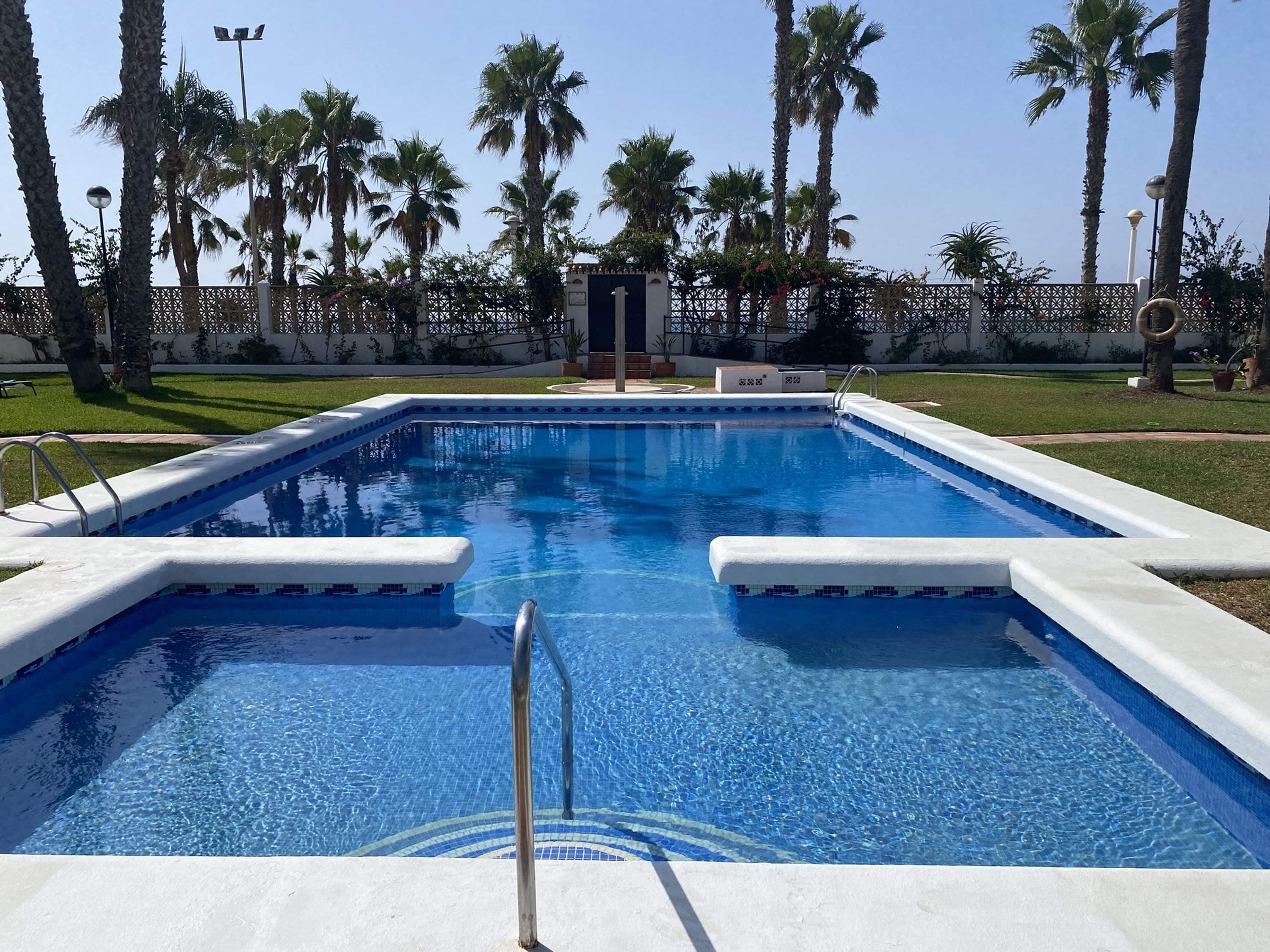 Une piscine rectangulaire à l’eau d’un bleu cristallin, entourée de palmiers et d’une clôture blanche.