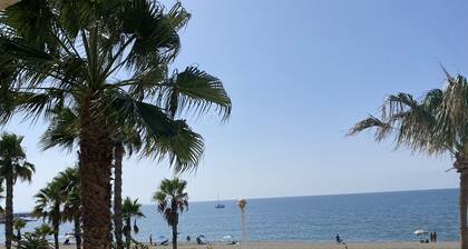 Terrasol Trai AS A1- 1 Linea Playa