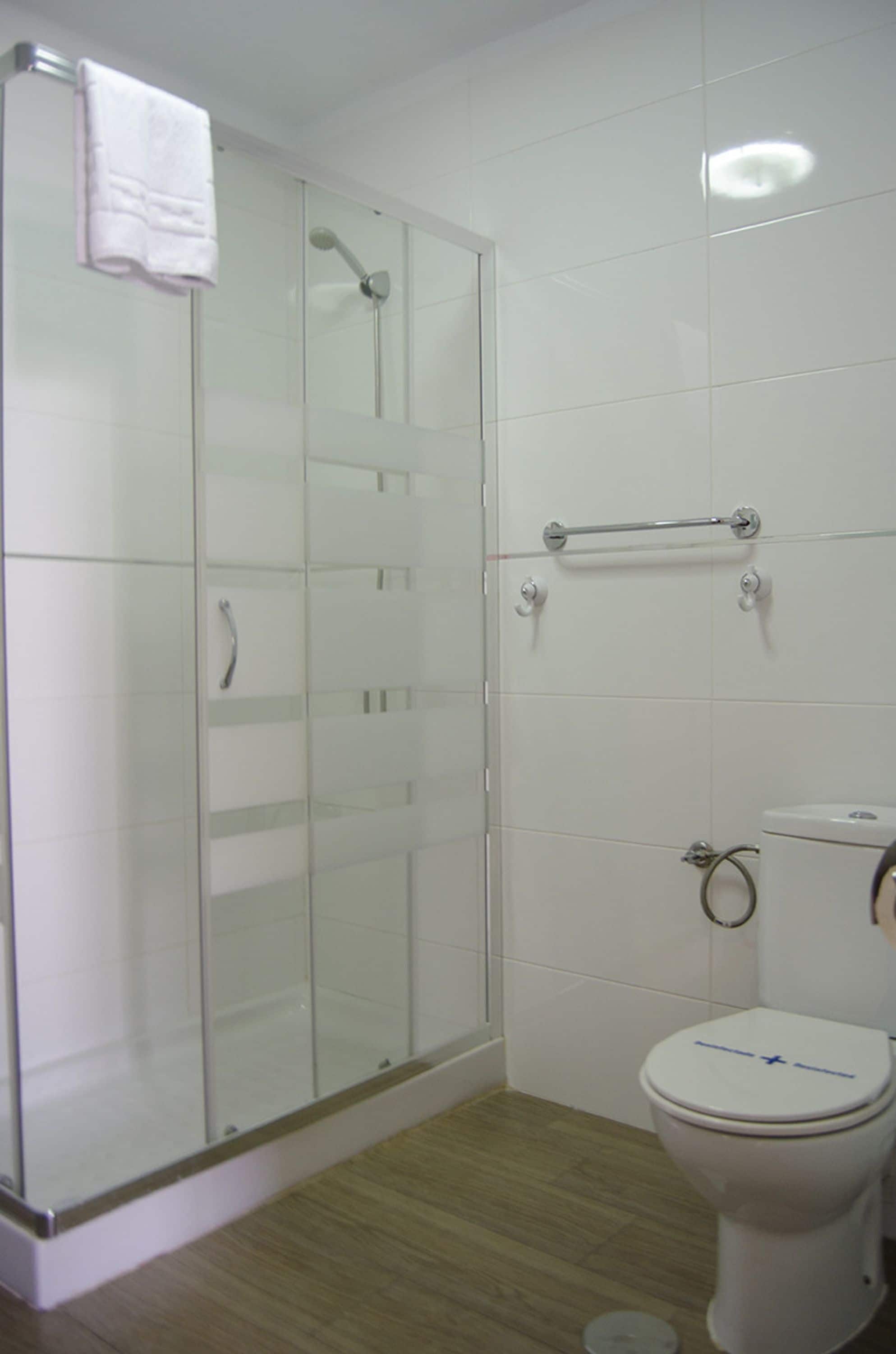 Une salle de bain avec une douche à parois de verre, des toilettes et une barre d’appui.