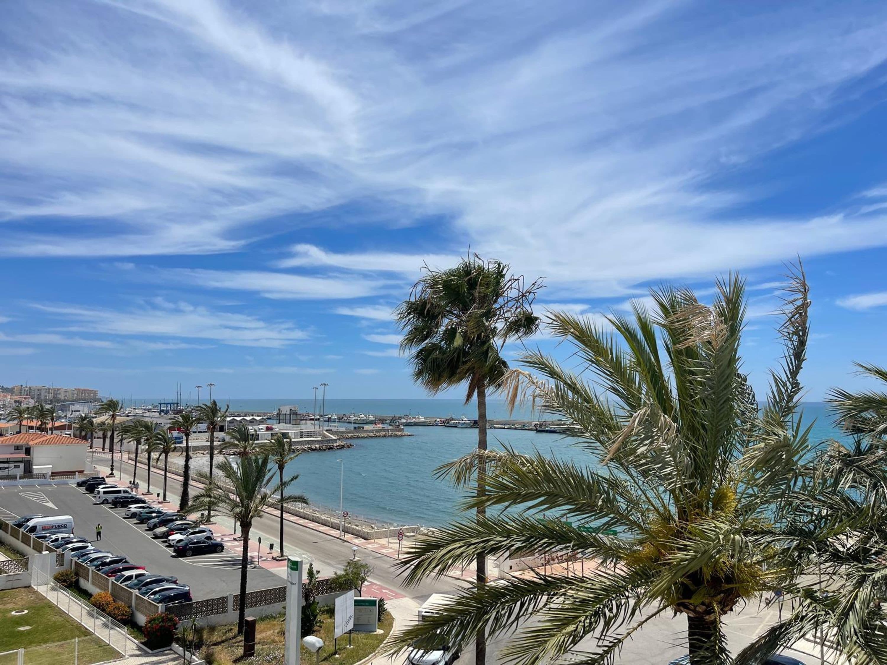 A coastal cityscape with a marina, parked cars, and palm trees.