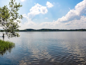 Miscelánea