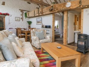 Fireplace - The Orchard, Okehampton (Okehampton)