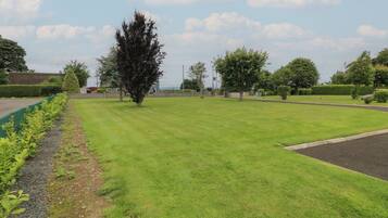 Área da propriedade