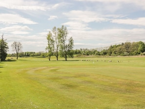 Golfkenttä, jossa on lipunvarsi, puita ja kirkas taivas.