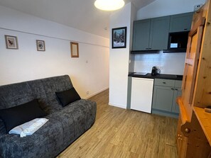 A compact living space with a grey sofa, a small kitchenette, and a wooden cabinet. - Renovated studio near Châtel ski lifts (Châtel)