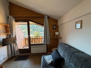 TV - Renovated studio near Châtel ski lifts (Châtel)