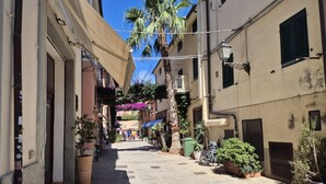 Une rue étroite, bordée de bâtiments des deux côtés, avec un palmier et un vélo garé sur le côté droit.