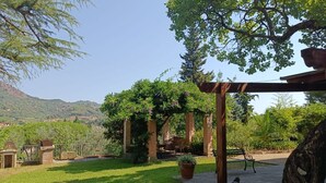 Un jardin agrémenté d’une pergola, d’un banc et d’une plante en pot.