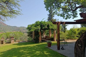 Un jardin agrémenté d’une pergola, d’un banc et d’une plante en pot.