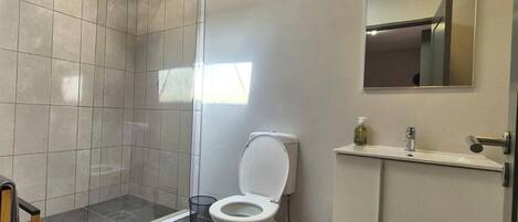 Shower, towels, toilet paper