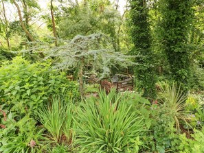 Property grounds - Charlecote house, Saundersfoot (Saundersfoot)