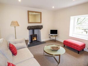 Fireplace - Beaver Grove Cottage in Wales. (Betws-y-Coed)