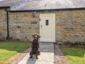 Exterior detail - Shepherds Burn Cottage, Bellingham (Hexham)