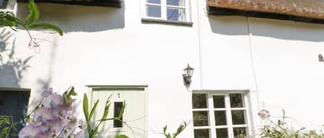 Detalle exterior