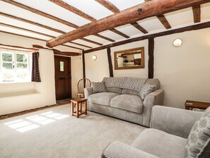 Living area - Charming 1 Old Thatch Home (Bridgwater)