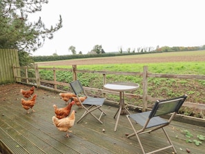 Terassi/patio