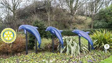 Terrein van de accommodatie