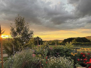 A garden with a variety of flowers and a tree, with a cloudy sky in the background. - Gables Cottage, Market Rasen (Market Rasen)