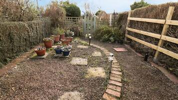 Área da propriedade