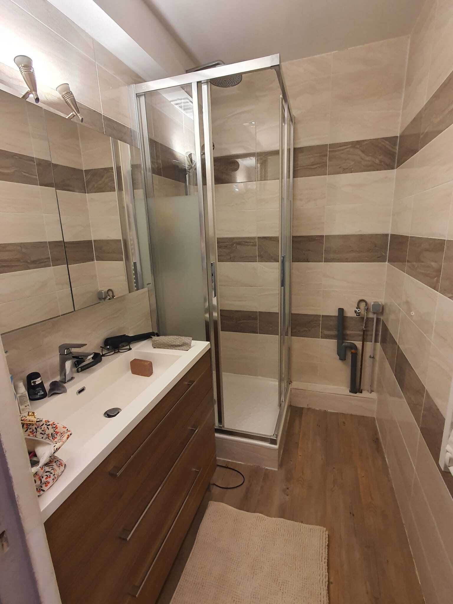 Secadora de cabello y papel de baño 
