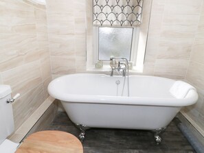 Shower - Llwyn Onn, Dolwyddelan (Dolwyddelan)