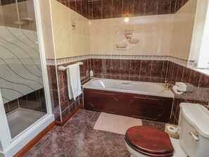 Shower - Cwm heulog, Llanfair Talhaiarn (Abergele)