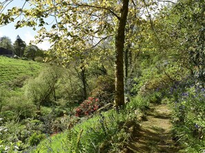 Terrain de l’hébergement 