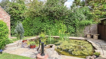 Terrain de l’hébergement