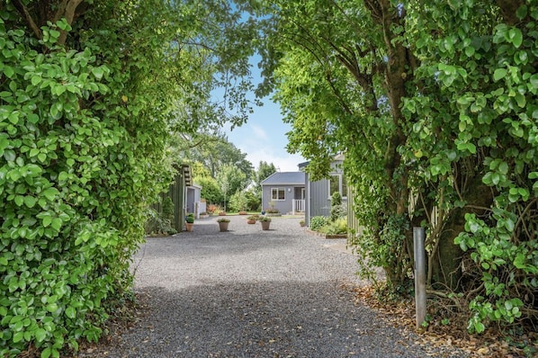 A gravel driveway leading to a house surrounded by lush greenery.
