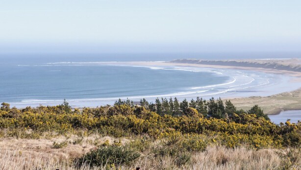 Eine Küstenlandschaft mit Strand, Vegetation und blauem Himmel.