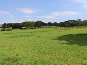 Property grounds - Dryfe Lodge, Lockerbie (Lockerbie)