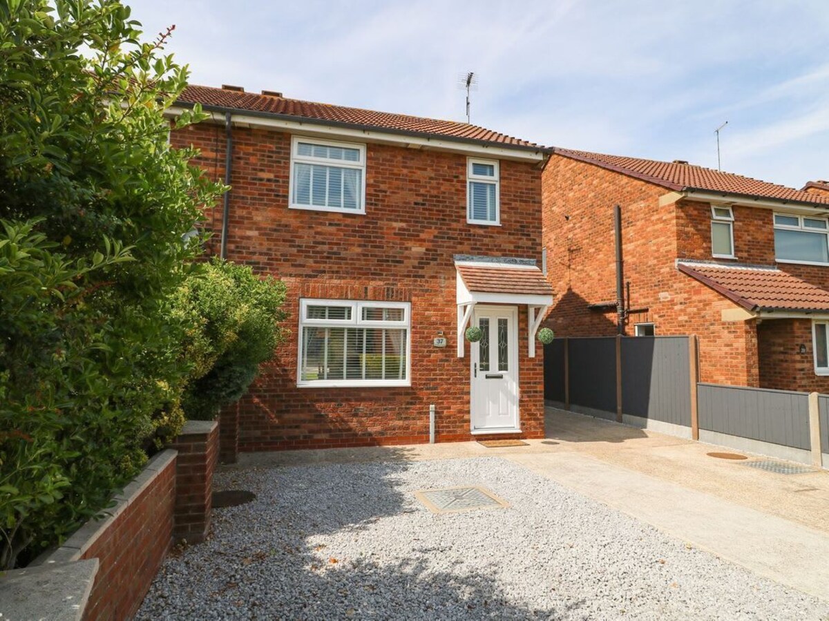 Imagen de perfil del propietario o de la propietaria