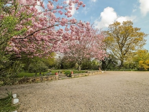 Property grounds - Robin Cottage, Morpeth (Morpeth)