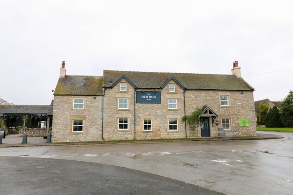 The Loft at The Old Dog Thorpe