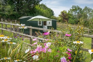 A green cottage with a white door and a small porch, surrounded by a wooden fence and blooming flowers. - Onnen, near to Aberaeron. 1bed (Llanarth)