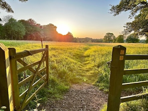 A rural landscape with a path leading through a field, a wooden gate, and trees in the background.