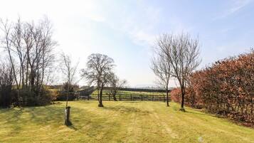 Àrea exterior de l'allotjament