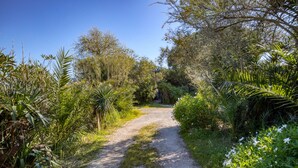 Ein Kiesweg, umgeben von dichtem Grün und Bäumen.