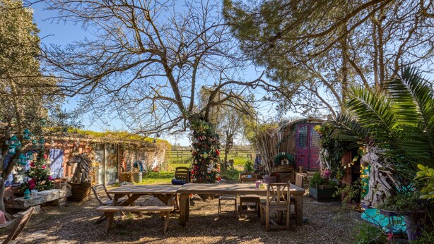 Ein Garten mit Holztischen und -bänken, umgeben von Bäumen und Pflanzen.