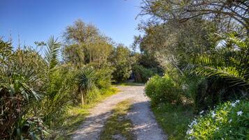 Jardines del alojamiento