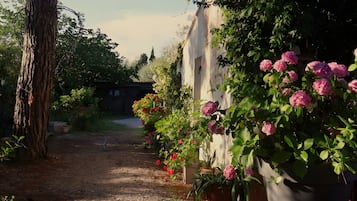 Área da propriedade