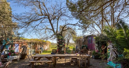 Chambre dâhĂŽtes « Le Niasque » avec jardin commun et Wi-Fi