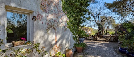 تناول الطعام بالخارج