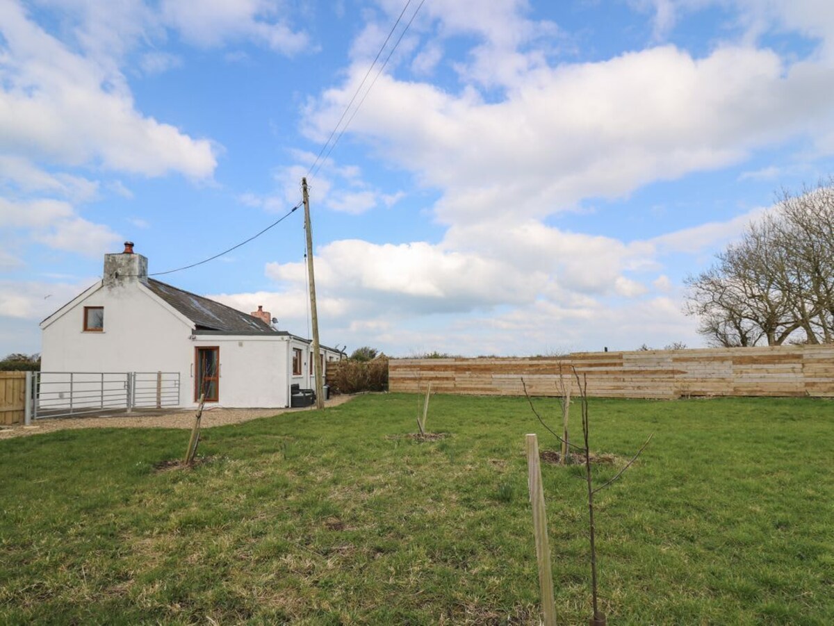 Imagen de perfil del propietario o de la propietaria