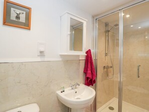 Shower - The Old Thatch, Porlock. 1bed. (Minehead)