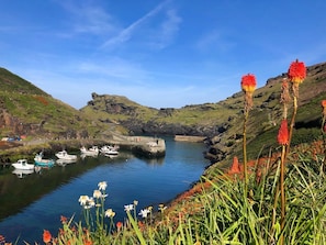 Eine Küstenlandschaft mit Booten, felsigem Ufer und blühenden Pflanzen.