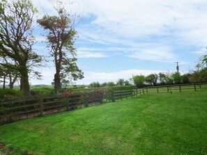 Property grounds - Hafod Cottage, Cemaes Bay (Cemaes Bay)
