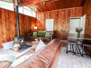 Fireplace - Chalet 2, Dinas Mawddwy (Machynlleth)